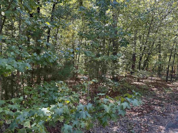 5 Ballobar Circle , Hot Springs Village, AR 71909