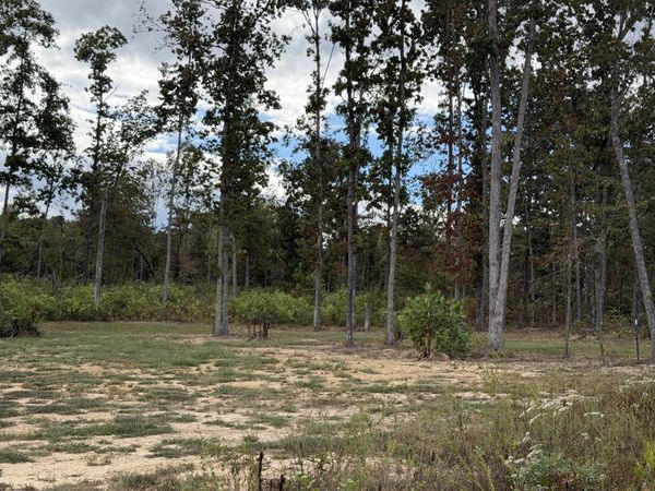 0 Brinkley Rd , Unit 6, Wartrace, TN 37183