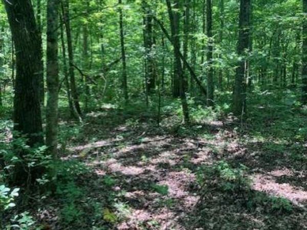 286 Madison CR 410 , Fredericktown, MO 63645