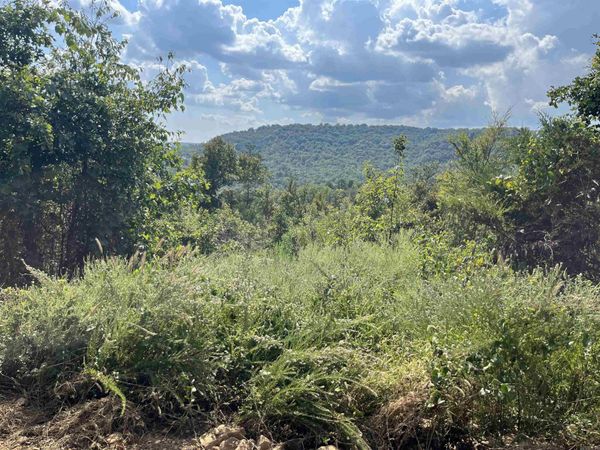 2314 Little Red River , Marshall, AR 72650