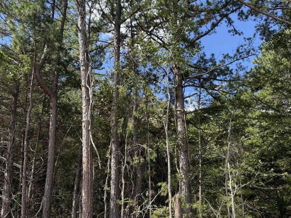 1A County Road 149 , Elizabeth, AR 72531