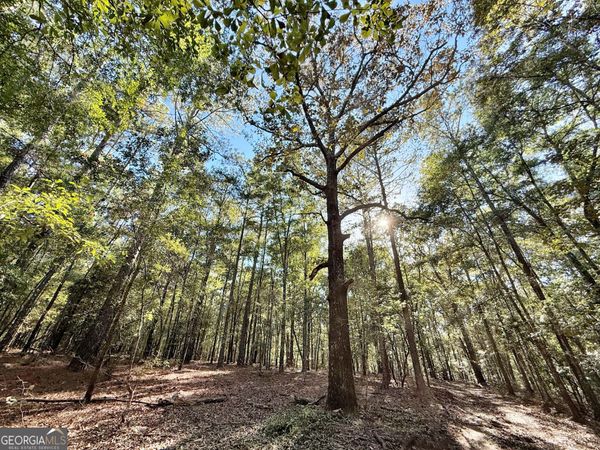 1 Kitchens road, Macon, GA 31217