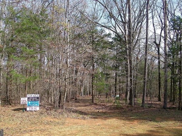 LOT 25 Benjamin Brown Court, Elberton, GA 30635