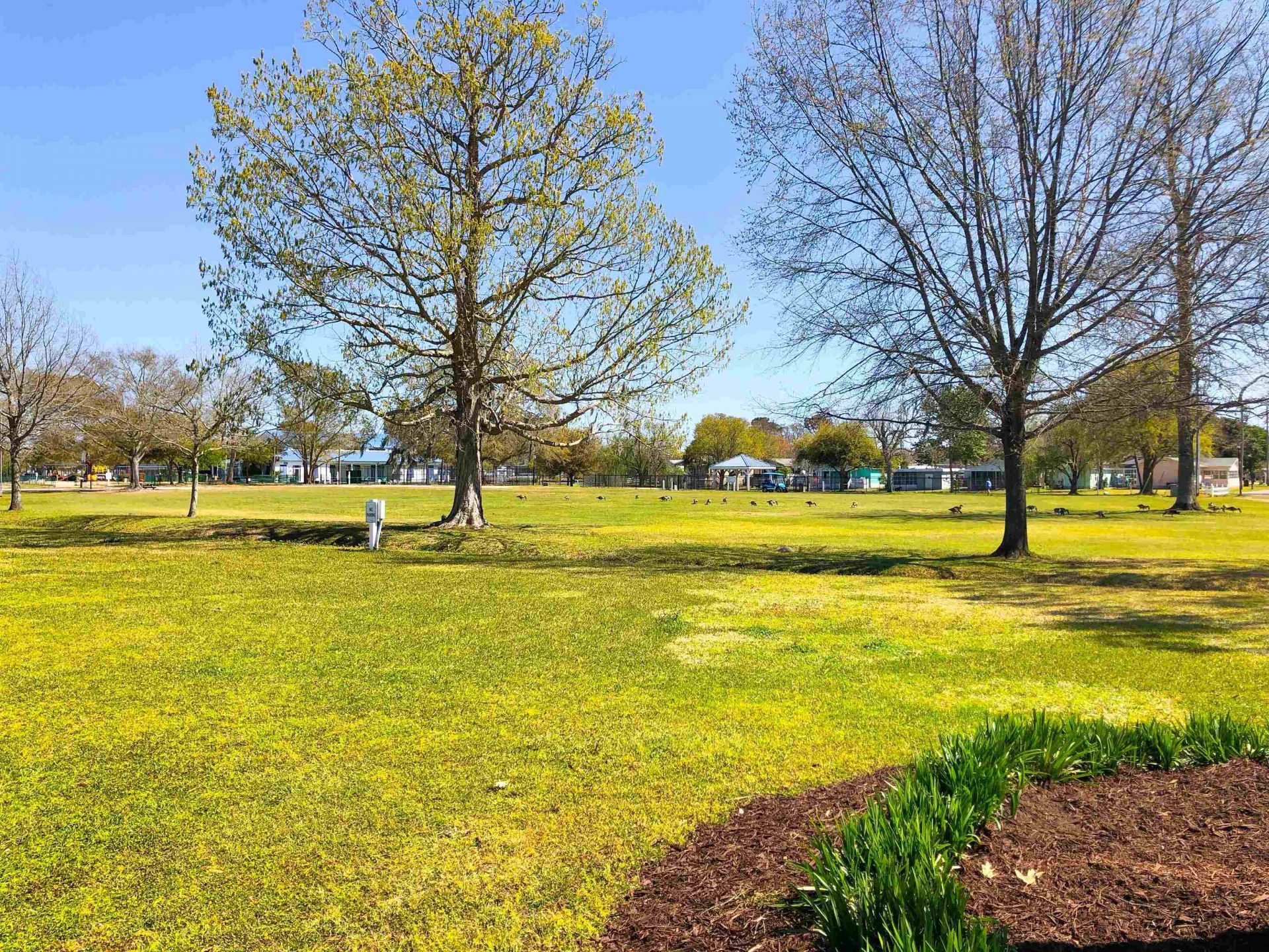 237 Melody Gardens Dr.  Photo 54