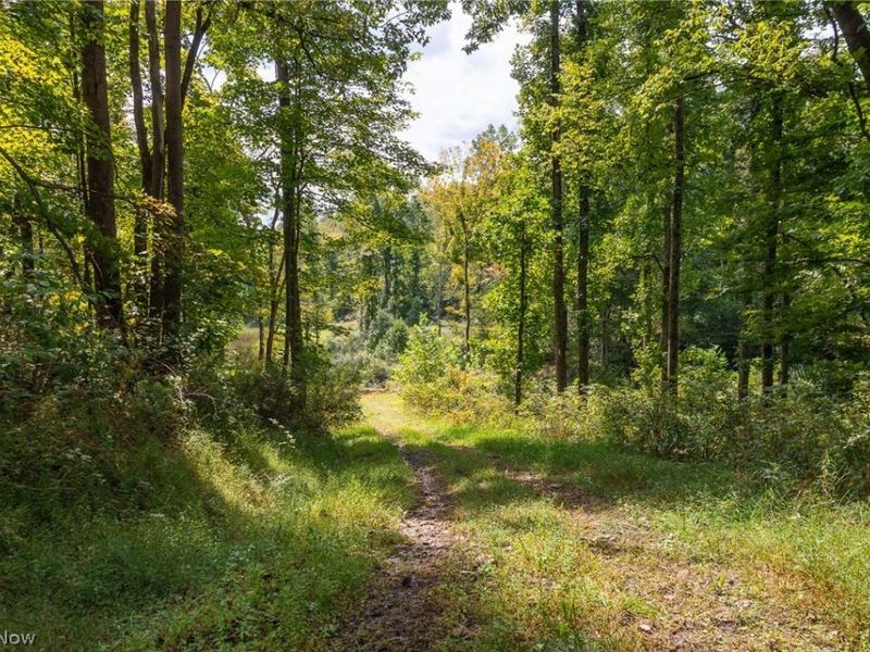 27339 Tabor Ridge Road, Caldwell, OH 43724 Photo 16