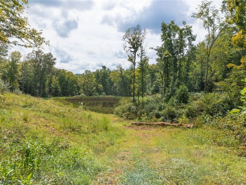 27339 Tabor Ridge Road, Caldwell, OH 43724 Photo 17