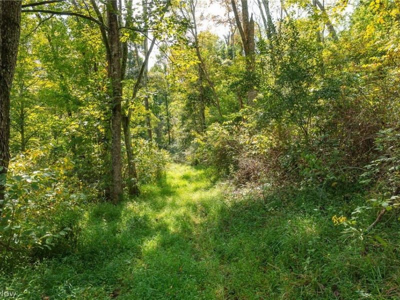 27339 Tabor Ridge Road, Caldwell, OH 43724 Photo 21
