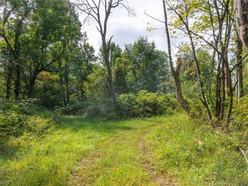 27339 Tabor Ridge Road, Caldwell, OH 43724 Photo 43