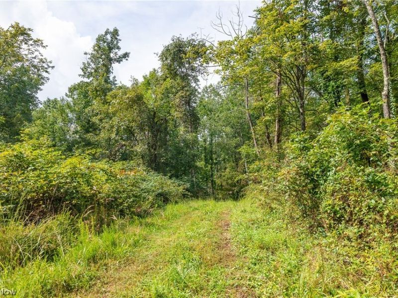 27339 Tabor Ridge Road, Caldwell, OH 43724 Photo 44