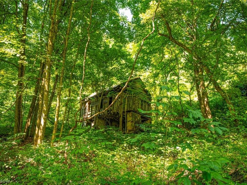 27339 Tabor Ridge Road, Unit 1, Caldwell, OH 43724 Photo 3