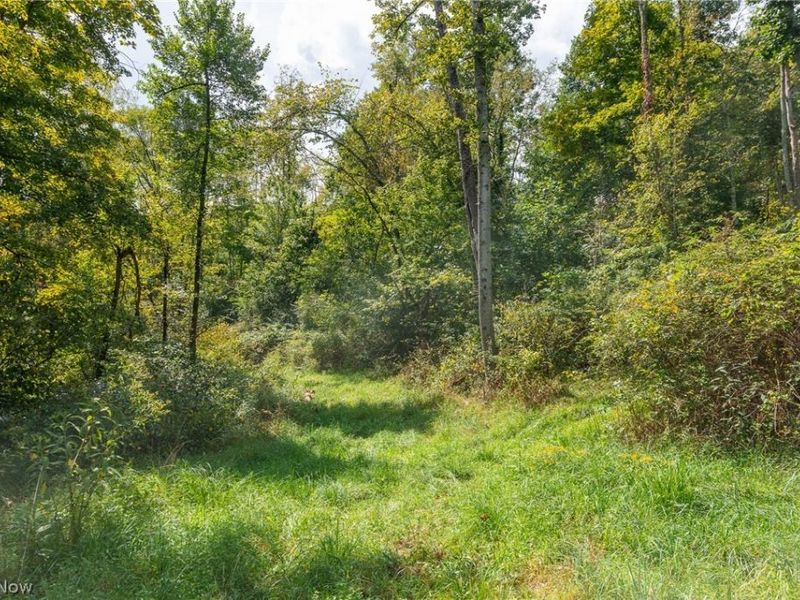 27339 Tabor Ridge Road, Unit 2, Caldwell, OH 43724 Photo 10