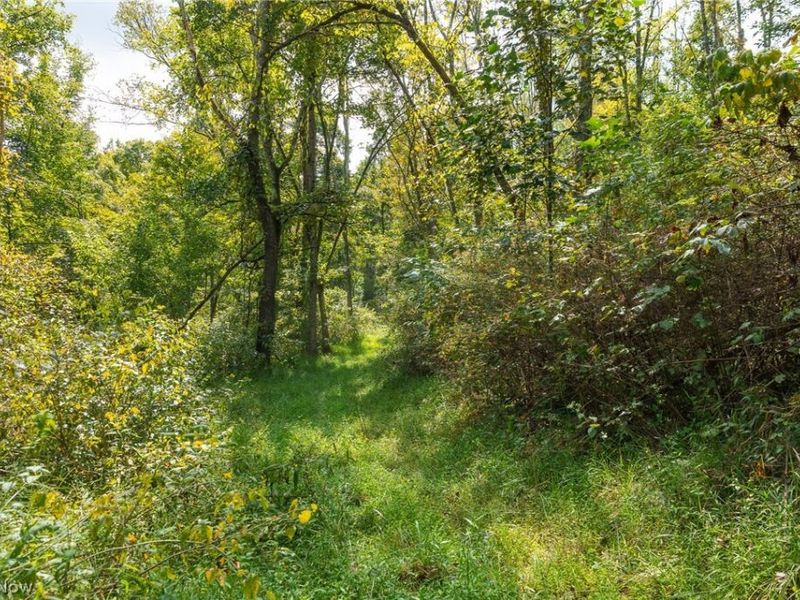 27339 Tabor Ridge Road, Unit 2, Caldwell, OH 43724 Photo 12