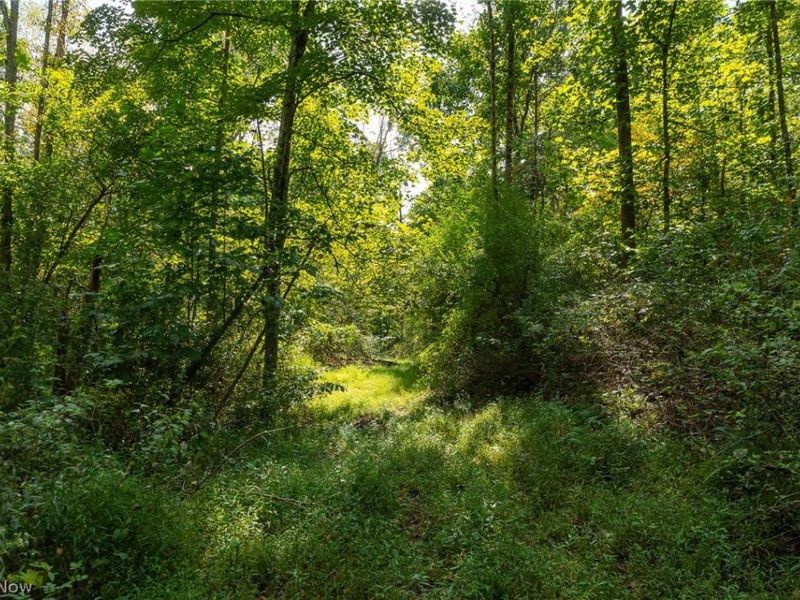 27339 Tabor Ridge Road, Unit 2, Caldwell, OH 43724 Photo 14