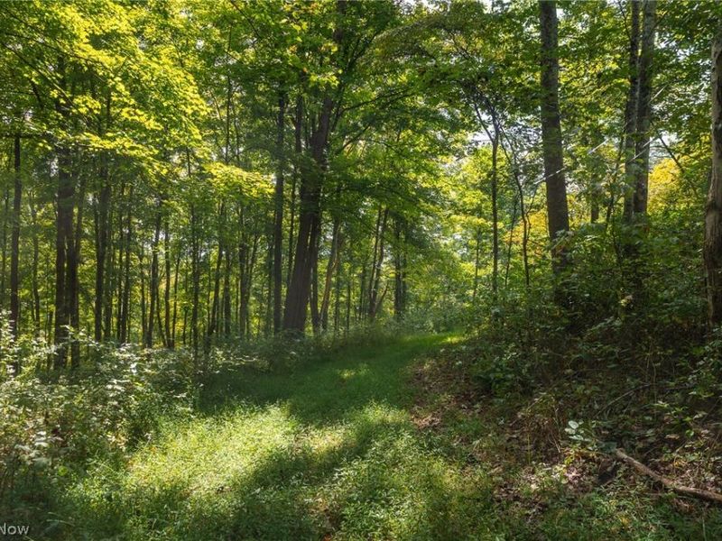 27339 Tabor Ridge Road, Unit 2, Caldwell, OH 43724 Photo 15
