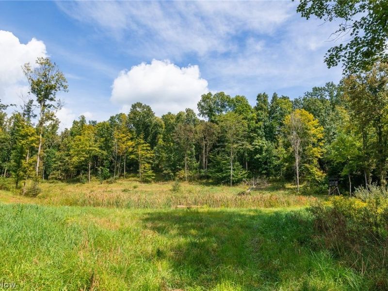 27339 Tabor Ridge Road, Unit 2, Caldwell, OH 43724 Photo 16