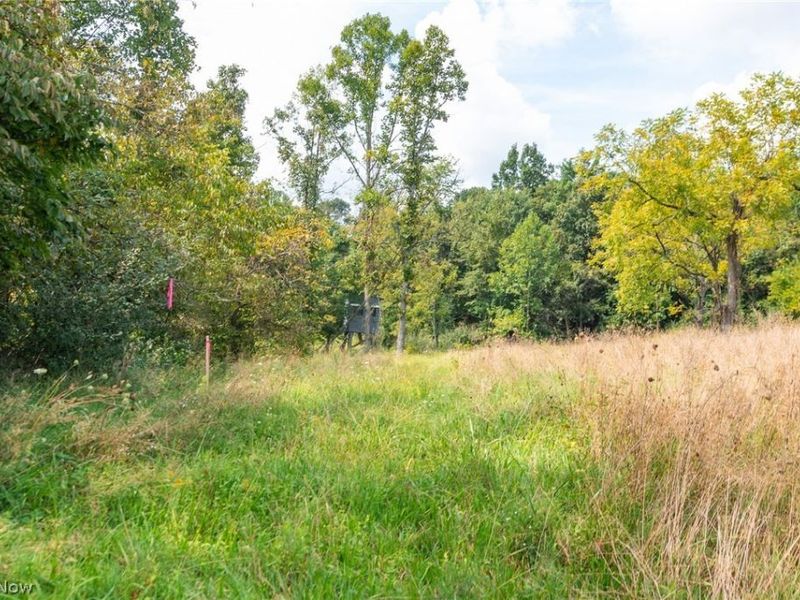 27339 Tabor Ridge Road, Unit 2, Caldwell, OH 43724 Photo 17