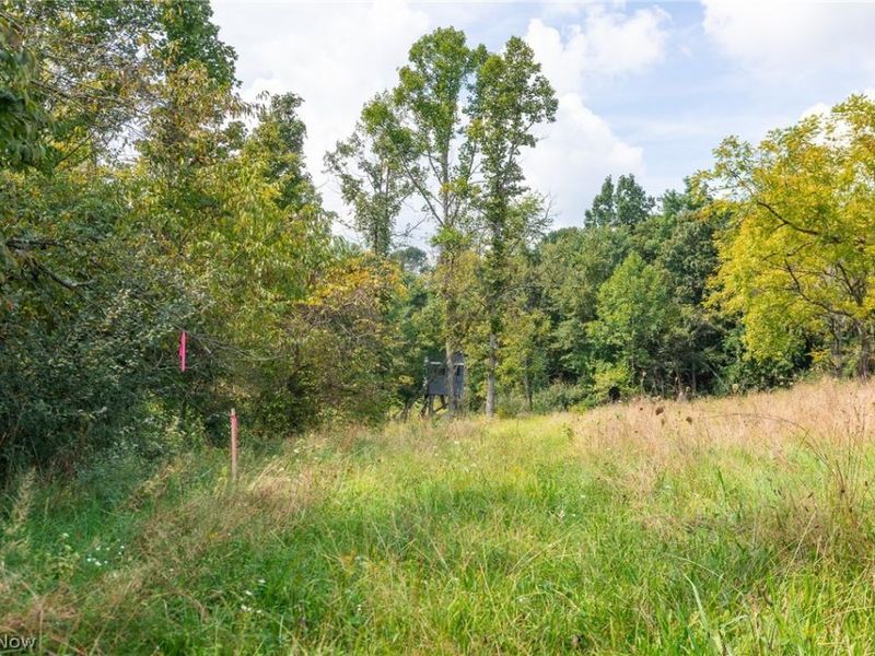27339 Tabor Ridge Road, Unit 2, Caldwell, OH 43724 Photo 18