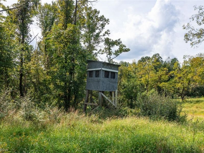 27339 Tabor Ridge Road, Unit 2, Caldwell, OH 43724 Photo 22