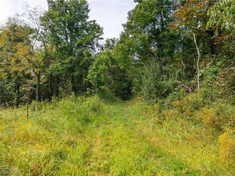 27339 Tabor Ridge Road, Unit 2, Caldwell, OH 43724 Photo 27