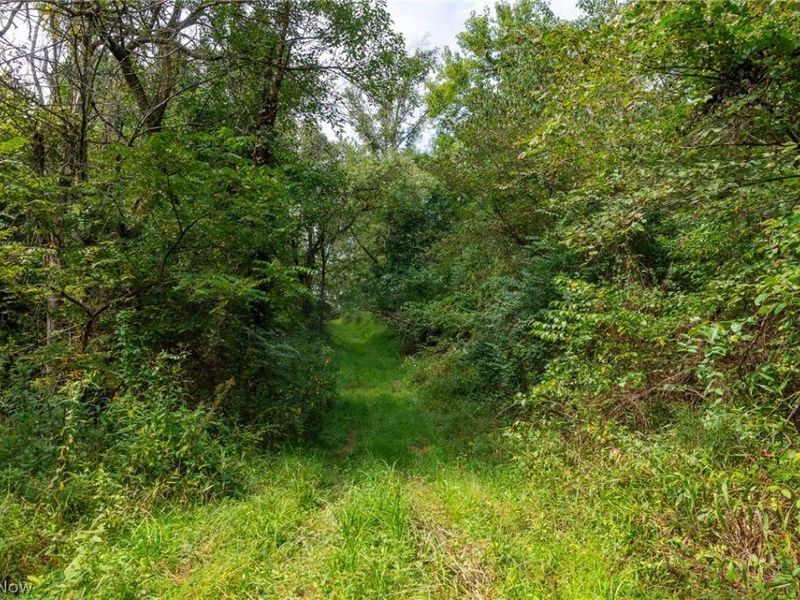 27339 Tabor Ridge Road, Unit 2, Caldwell, OH 43724 Photo 28