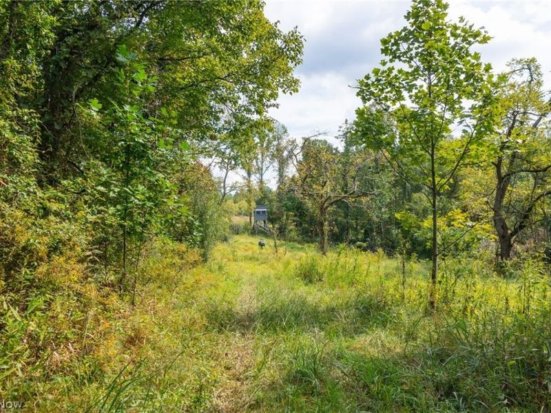 27339 Tabor Ridge Road, Unit 2, Caldwell, OH 43724 Photo 29