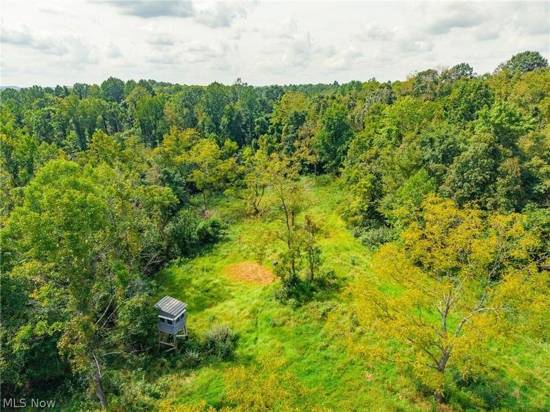 27339 Tabor Ridge Road, Unit 2, Caldwell, OH 43724 Photo 33
