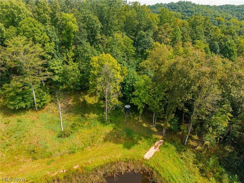 27339 Tabor Ridge Road, Unit 2, Caldwell, OH 43724 Photo 38