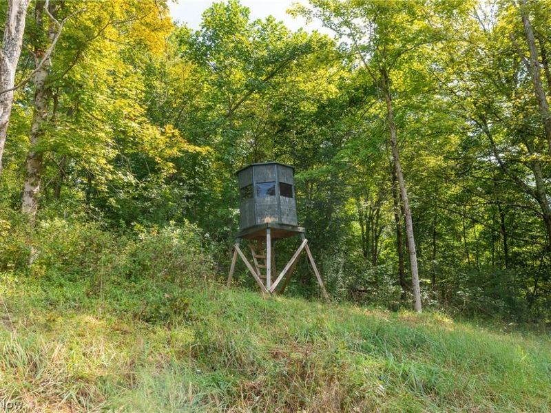 27339 Tabor Ridge Road, Unit 2, Caldwell, OH 43724 Photo 5