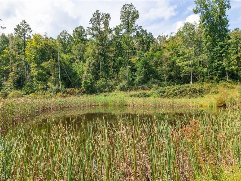 27339 Tabor Ridge Road, Unit 2, Caldwell, OH 43724 Photo 6