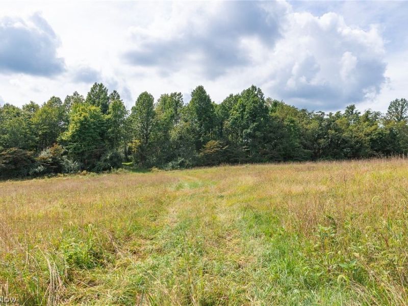 27339 Tabor Ridge Road, Unit 3, Caldwell, OH 43724 Photo 4
