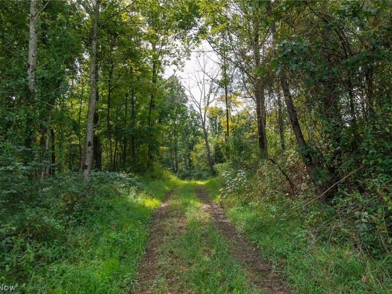 27339 Tabor Ridge Road, Unit 3, Caldwell, OH 43724 Photo 6