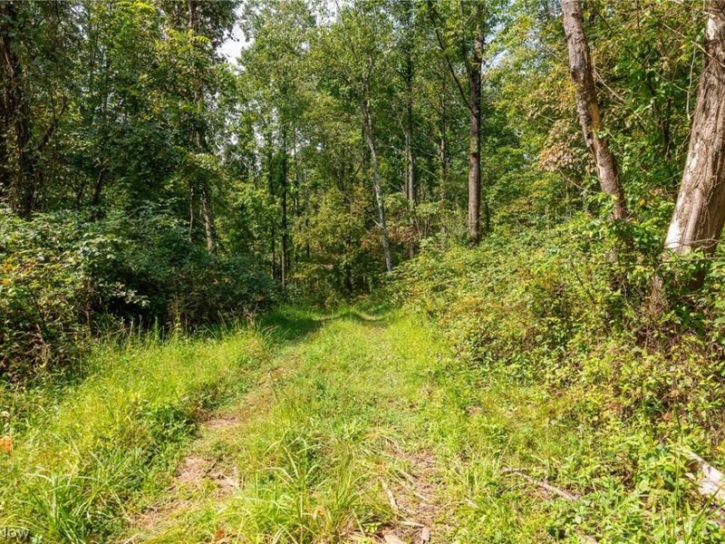 27339 Tabor Ridge Road, Unit 3, Caldwell, OH 43724 Photo 9