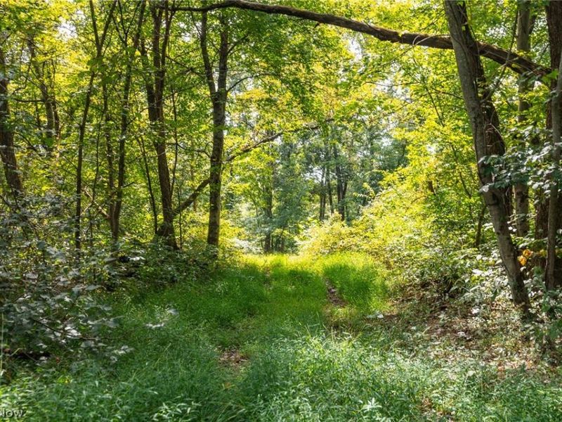 27339 Tabor Ridge Road, Unit 4, Caldwell, OH 43724 Photo 10
