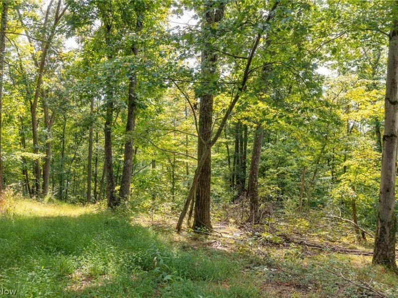 27339 Tabor Ridge Road, Unit 4, Caldwell, OH 43724 Photo 11