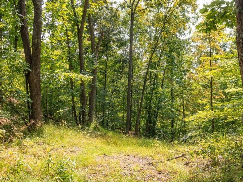 27339 Tabor Ridge Road, Unit 4, Caldwell, OH 43724 Photo 12
