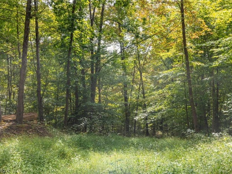 27339 Tabor Ridge Road, Unit 4, Caldwell, OH 43724 Photo 13