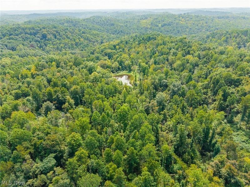 27339 Tabor Ridge Road, Unit 4, Caldwell, OH 43724 Photo 15