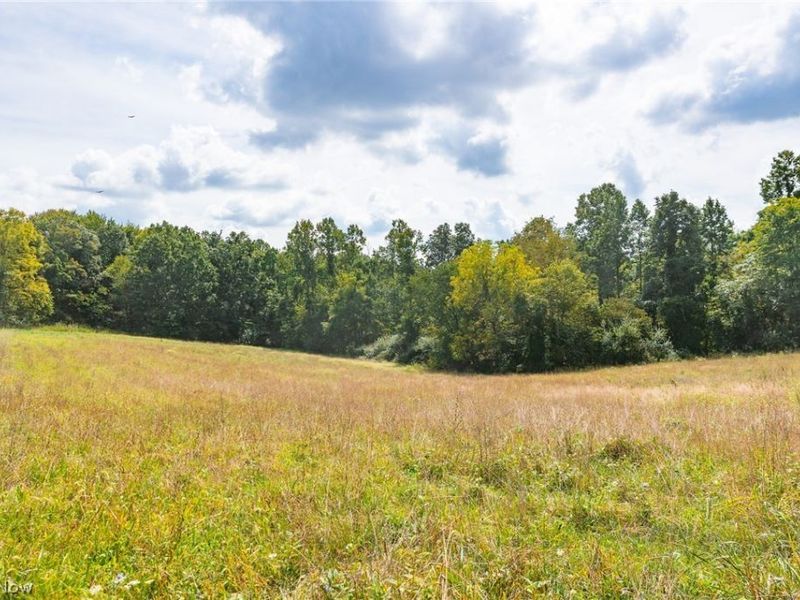 27339 Tabor Ridge Road, Unit 4, Caldwell, OH 43724 Photo 4