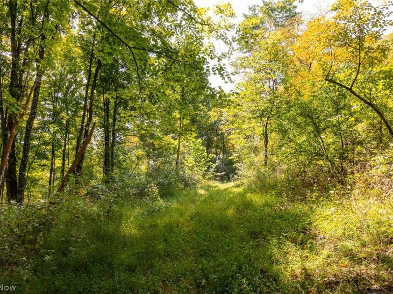27339 Tabor Ridge Road, Unit 4, Caldwell, OH 43724 Photo 6