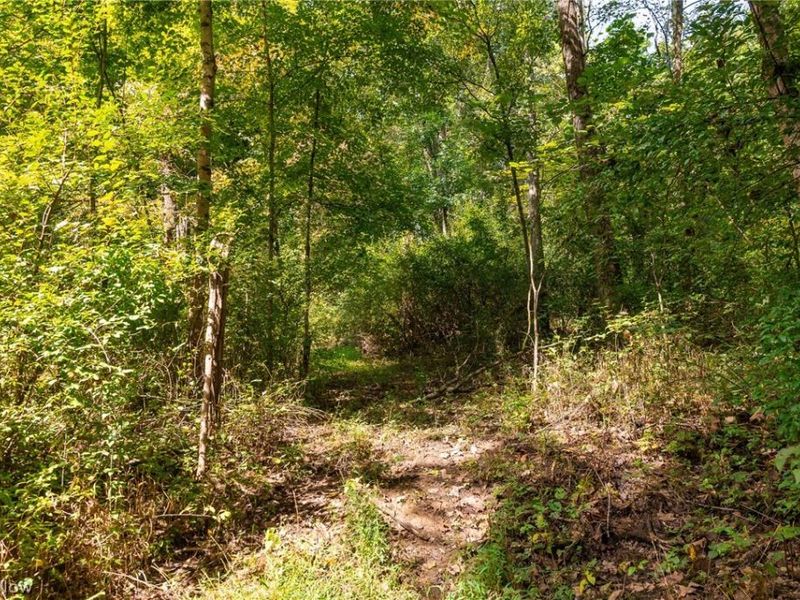 27339 Tabor Ridge Road, Unit 4, Caldwell, OH 43724 Photo 7