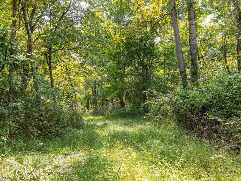 27339 Tabor Ridge Road, Unit 4, Caldwell, OH 43724 Photo 8