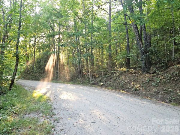 99999 Bear Lake Road, Unit (SR 1137), Tuckasegee, NC 28783
