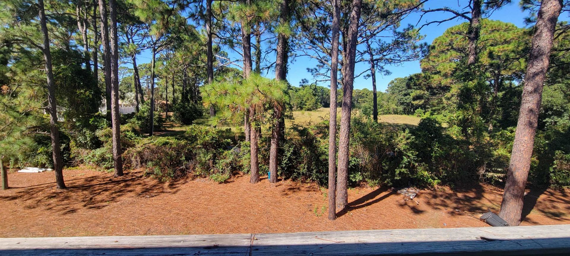 1849 Crooked Pine Dr. Photo 23