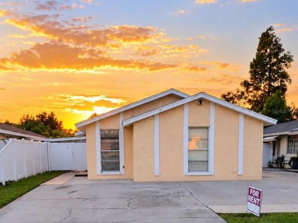 8206 RAVENCROFT DRIVE, TAMPA, FL 33615