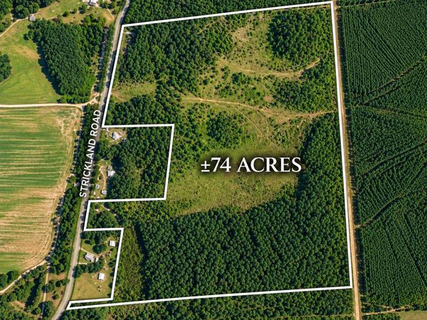 0 Strickland Road, Lake Park, GA 31636