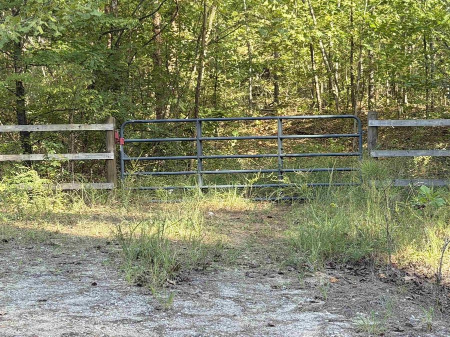 Property Image 6