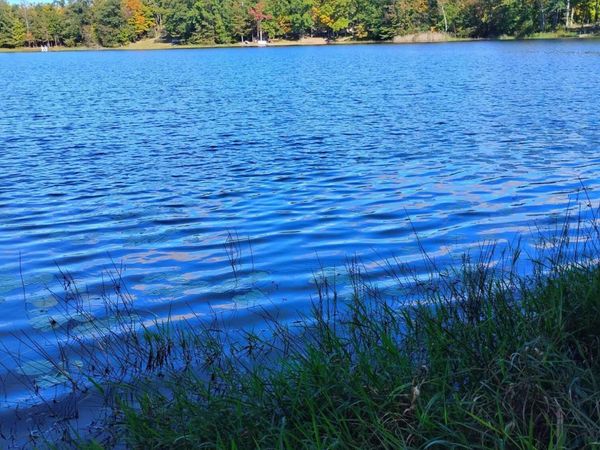 14006 Chippewa Trail, Johannesburg, MI 49751