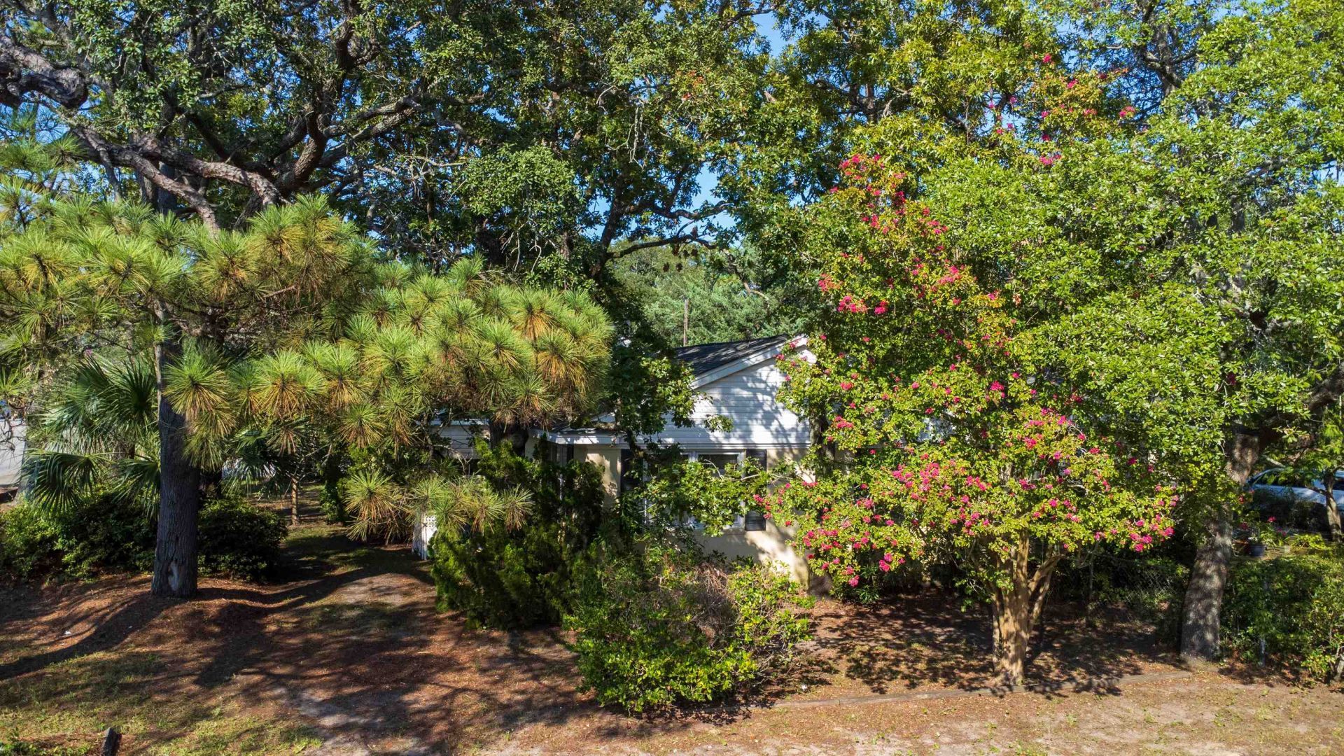 3500 N Kings Hwy. Photo 37