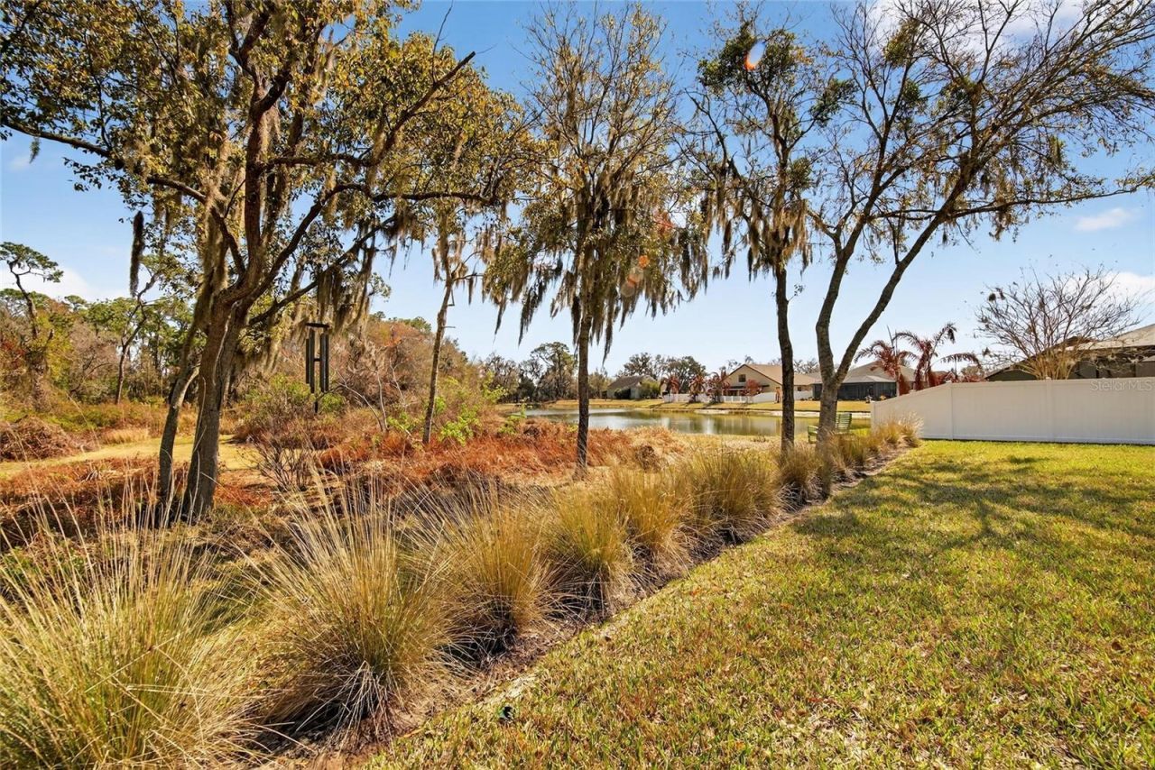 1808 Via Chianti Street, Plant City, FL 33566 Photo