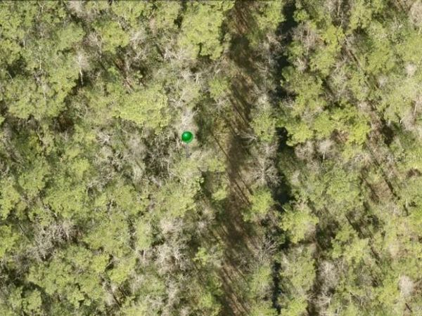 NO STREET , LAKE HELEN, FL 32744